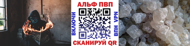 закладки  Губкинский  Alfa_PVP СК 